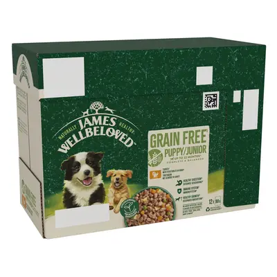 James Wellbeloved Puppy & Junior Hypoallergenic Grain Free Pouches - Turkey in Gravy - 12 x 90g