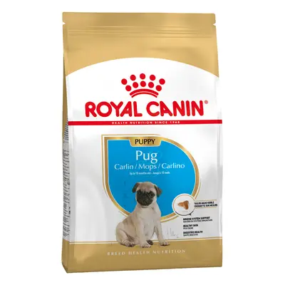 Royal Canin Pug Puppy - Economy Pack: 3 x 1.5kg