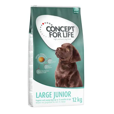 Concept for Life Economy Packs - Large Junior (2 x 12kg)