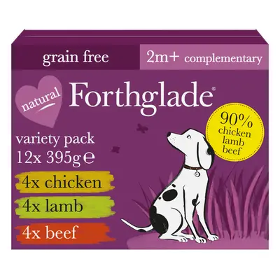 Forthglade Just 90% Grain-Free Dog - Mixed Pack - 24 x 395g