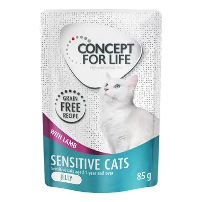 Concept for Life Sensitive Cats Lamb Grain-Free in Jelly - 12 x 85g