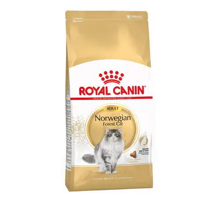 Royal Canin Norwegian Forest Cat Adult - 2kg