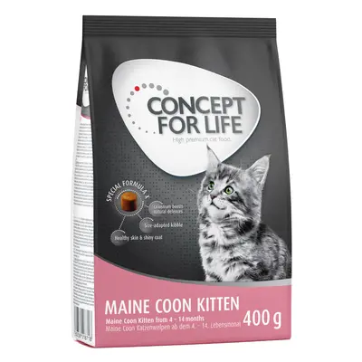 Concept for Life Maine Coon Kitten - 400g