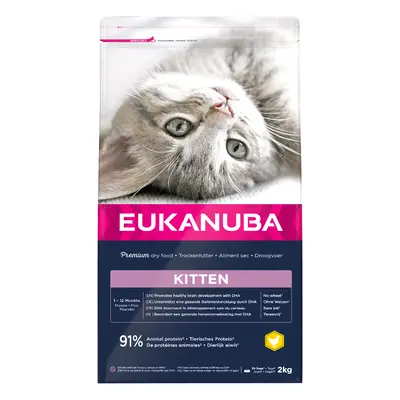 Eukanuba Healthy Start Kitten - 2kg