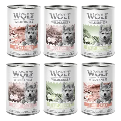 Wolf of Wilderness Junior "Expedition" 6 x 400g - Mixed Pack (2x Steep Journey, 2x Stony Creek, 