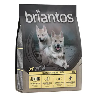 Briantos Junior Grain-Free Chicken & Potato - 1kg