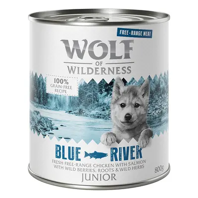 Wolf of Wilderness Junior "Free-Range" 6 x 800g - Junior Blue River - Free-Range Chicken & Salmo