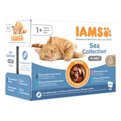 IAMS Advanced Nutrition Adult – Sea Collection - Sea Collection in Jelly (12 x 85g)