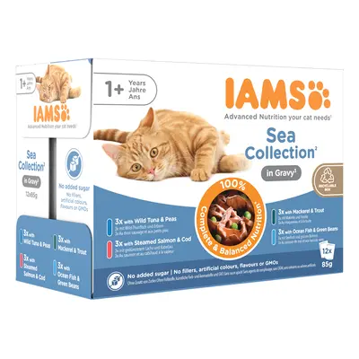 IAMS Advanced Nutrition Adult – Sea Collection - Sea Collection in Gravy (24 x 85g)