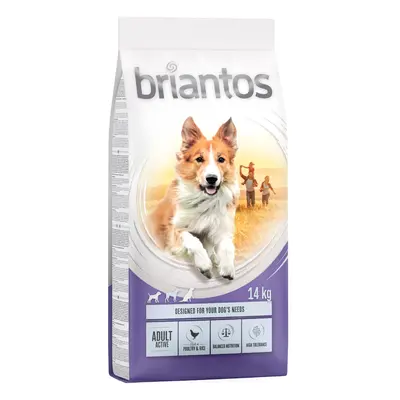 Briantos Adult Active - 14kg