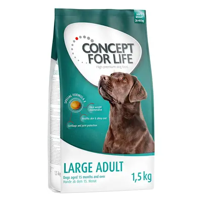 Concept for Life Large Adult - 6kg