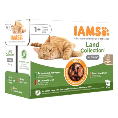 IAMS Advanced Nutrition Adult – Land Collection in Gravy - 12 x 85g