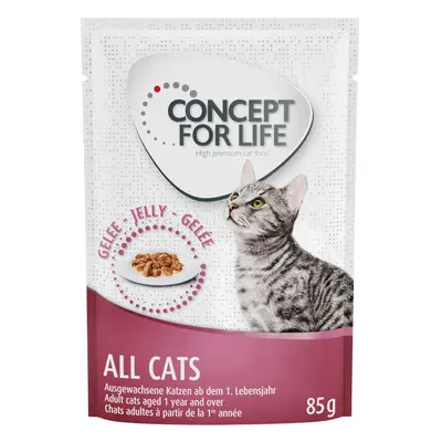 Concept for Life All Cats – in Jelly - 12 x 85g