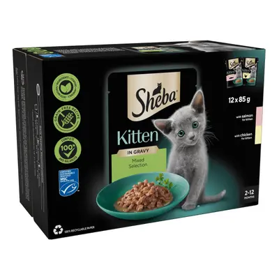 Sheba Kitten Pouches - Mixed Selection in Gravy (12 x 85g)