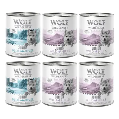 Wolf of Wilderness Junior Duo-Protein Recipe 6 x 800g - Mixed Pack: 2 Varieties