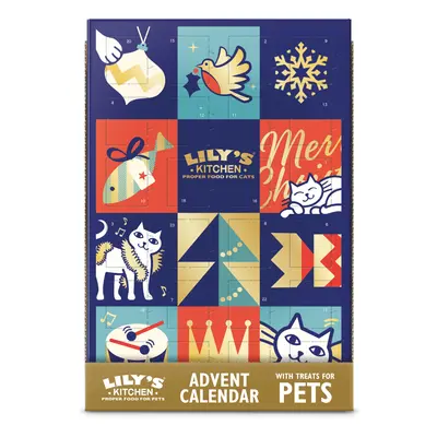 Lily's Kitchen Advent Calendar for Cats - 1 Advent Calendar