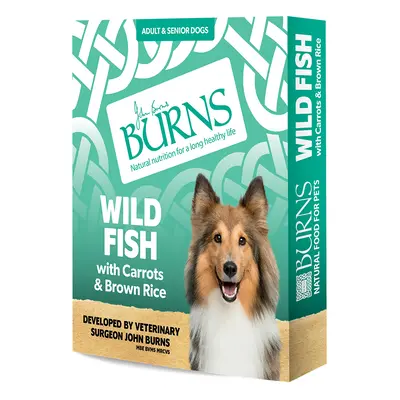 Burns Wild Fish with Carrots and Organic Brown Rice - 24 x 395g