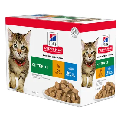 Hill's Science Plan Kitten Tuna - Complementary: 12 x 85g Kitten Fish Selection