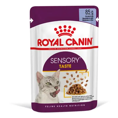 Royal Canin Sensory Taste in Jelly - Saver Pack: 48 x 85g