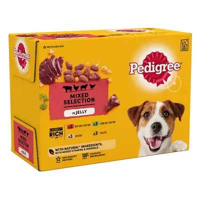 Pedigree Pouch in Jelly Multipack - Saver Pack: 24 x 100g