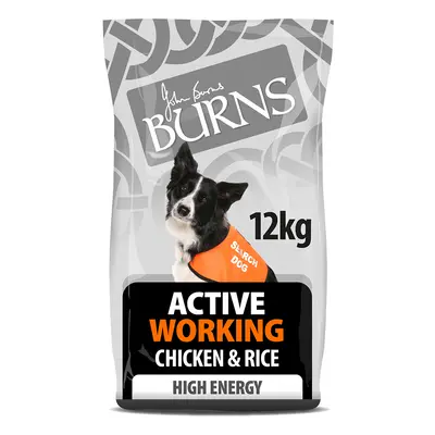 Burns Active Working - Chicken & Rice - 12kg