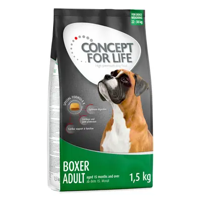 Concept for Life Boxer Adult - 6kg