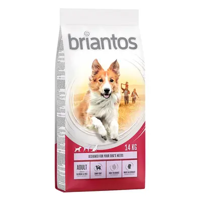 Briantos Adult Salmon & Rice - 14kg