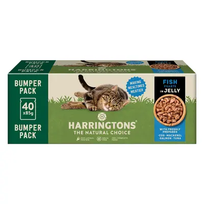 Harringtons Complete Grain-free Adult Cat – Fish Selection in Jelly - Bumper Pack: 40 x 85g