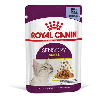 Royal Canin Sensory Smell in Jelly - Saver Pack: 24 x 85g