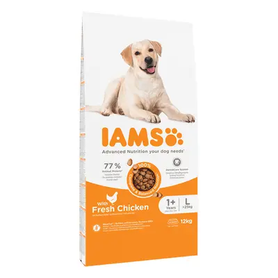 IAMS for Vitality Dry Dog Food Economy Packs 2 x 12kg - Advanced Nutrition Adult Large Dog - Chi