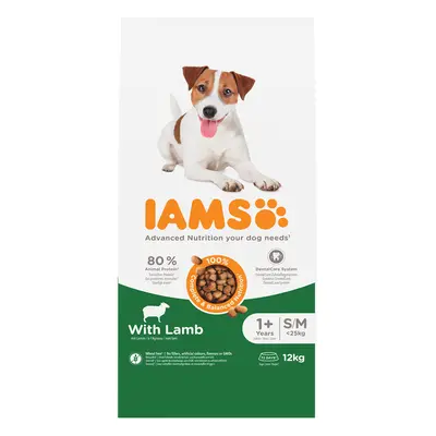 IAMS Advanced Nutrition Adult Small & Medium Dog - Lamb - Economy Pack: 2 x 12kg