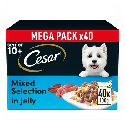 Cesar 10+ Senior Selection in Jelly - 40 x 100g