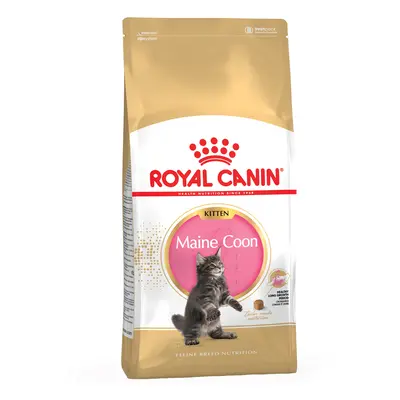 Royal Canin Maine Coon Kitten - 4kg