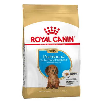 Royal Canin Dachshund Puppy - Economy Pack: 3 x 1.5kg