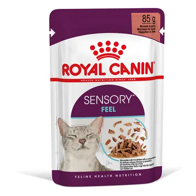 Royal Canin Sensory Feel in Gravy - Saver Pack: 48 x 85g