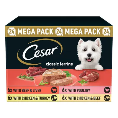 Cesar Classic Terrine Mixed Pack - 24 x 150g