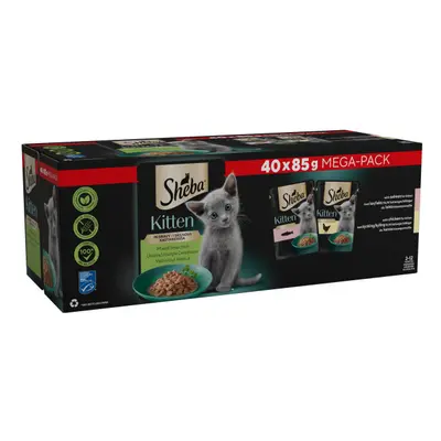 Sheba Kitten Pouches Mega Pack - Mixed Selection in Gravy (40 x 85g)