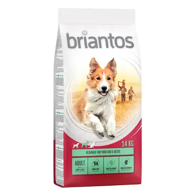 Briantos Adult Lamb & Rice - 14kg