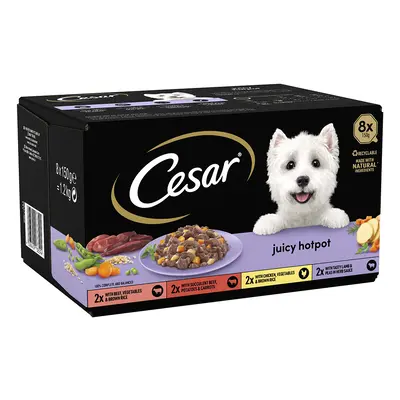 Cesar Juicy Hotpot Mixed Selection - Saver Pack: 48 x 150g