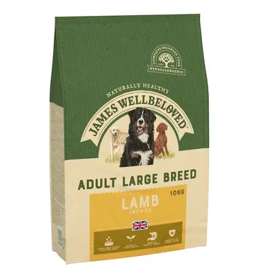 James Wellbeloved Adult Large Breed Hypoallergenic Lamb & Rice - 20kg