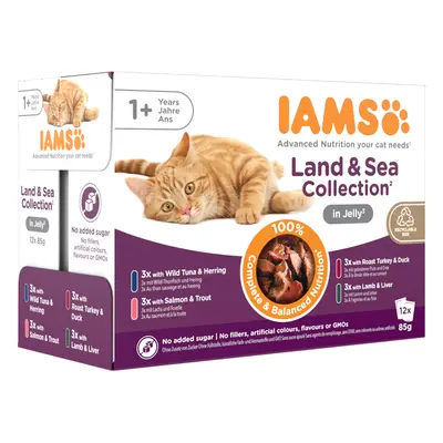 IAMS Advanced Nutrition Adult – Land & Sea Collection - in Jelly (12 x 85g)