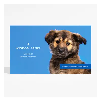 Wisdom Panel™ Essential Dog DNA Test - 1 Test