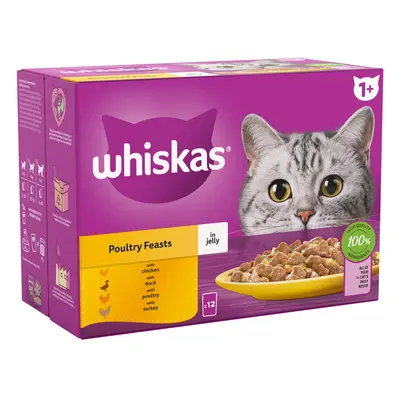 Whiskas 1+ Poultry Feasts in Jelly - 12 x 85g