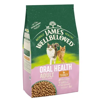 James Wellbeloved Adult Cat Oral Health Hypoallergenic Turkey & Rice - Economy Pack: 2 x 10kg