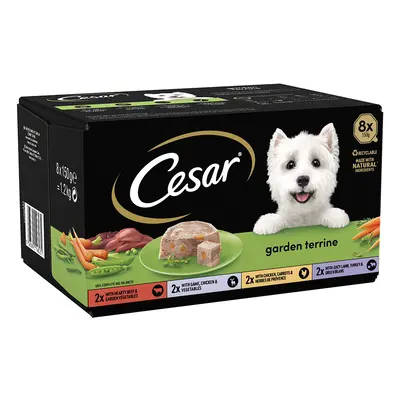 Cesar Garden-Terrine Trays Mixed Pack - 48 x 150g