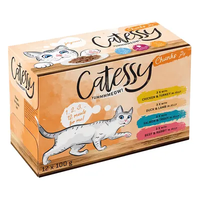 Catessy Pouches Saver Pack 48 x 100g - Chunks in Jelly