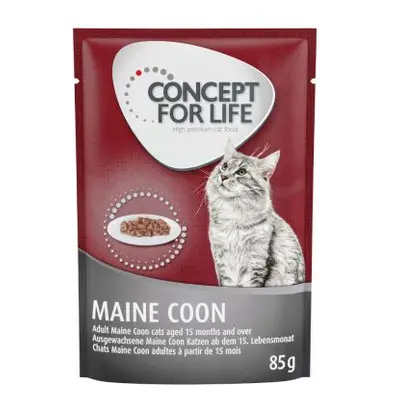 24 x 85g Concept for Life Wet Cat Food - 20 + 4 Free! * - Maine Coon Adult (24 x 85g)