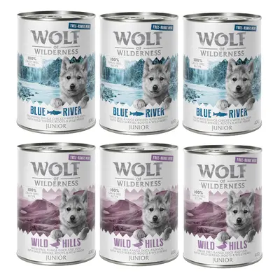 Wolf of Wilderness Junior Duo-Protein Recipe Saver Pack 24 x 400g - Mixed Pack