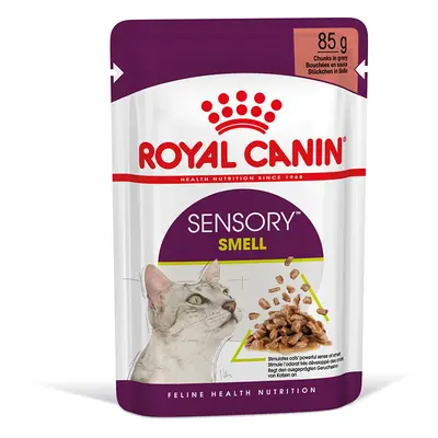 Royal Canin Sensory Smell in Gravy - Saver Pack: 48 x 85g