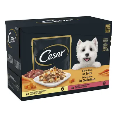 Cesar Pouches Deliciously Fresh Selection in Jelly Saver Packs - 48 x 100g